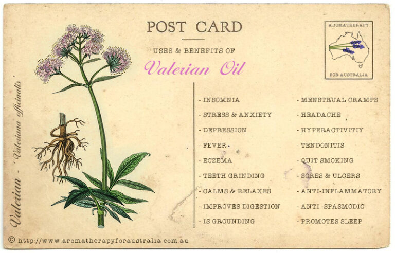 Valerian: Essential Oil Spotlight