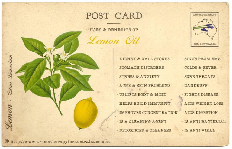 Lemon: Essential Oil Spotlight
