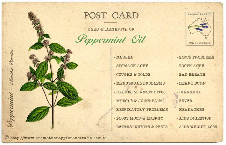 Peppermint: Essential Oil Spotlight
