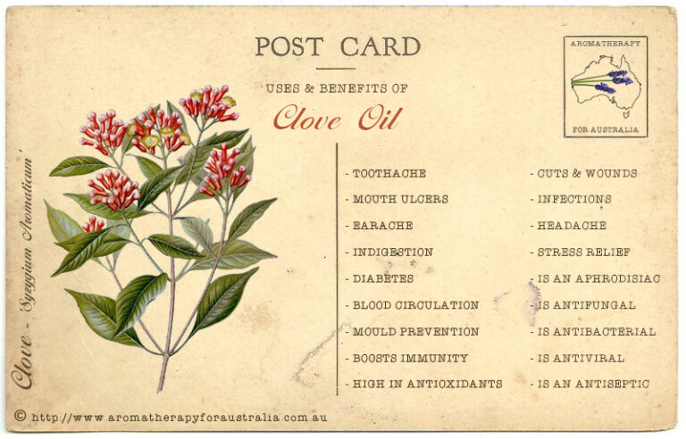 Clove : Essential Oil Spotlight