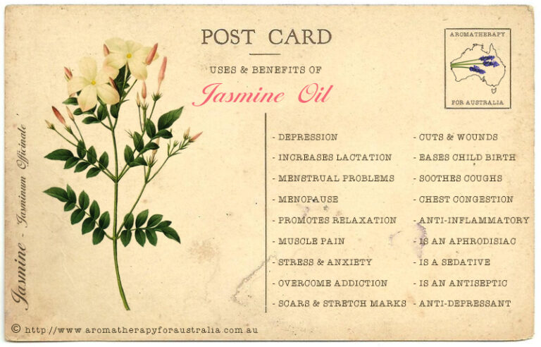 Jasmine: Essential Oil Spotlight