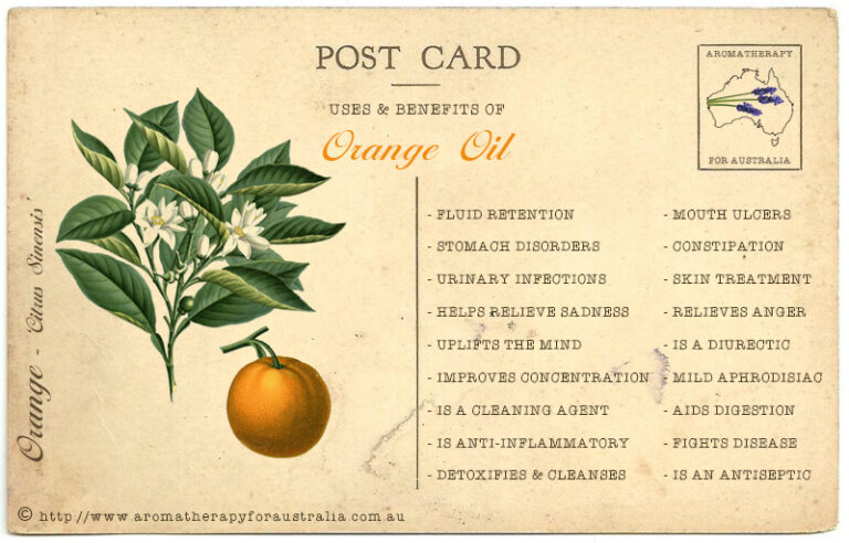 Orange: Essential Oil Spotlight
