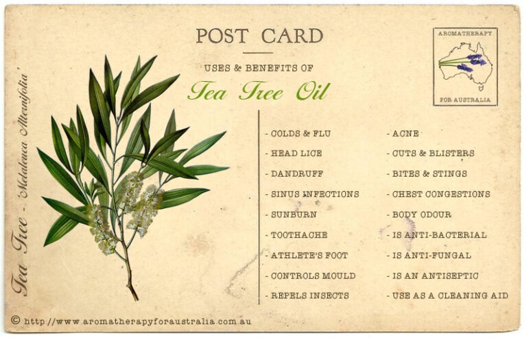 Tea Tree: Essential Oil Spotlight