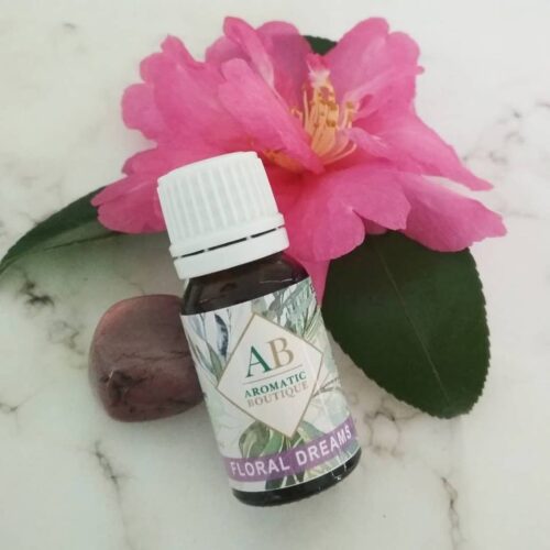 57331364_1814400385326455_7592584714184032256_n