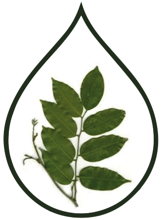 Peru Balsam Essential Oil