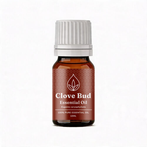 Aromatherapy For Australia: Clove Bud Essential Oil