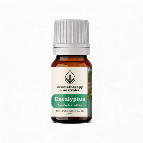 Aromatherapy For Australia: Eucalyptus Essential Oil