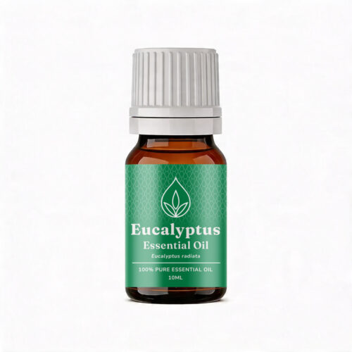 Aromatherapy For Australia: Eucalyptus Essential Oil