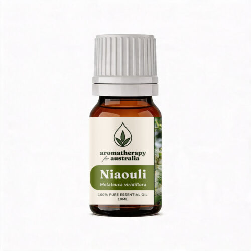 Aromatherapy For Australia: Niaouli Essential Oil