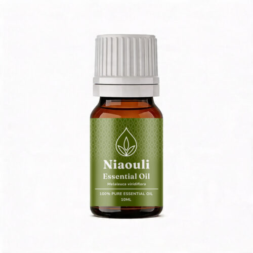 Aromatherapy For Australia: Niaouli Essential Oil