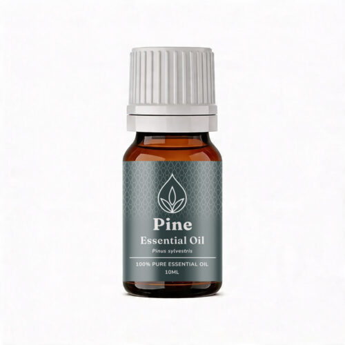 Aromatherapy For Australia: Pine Essential Oil