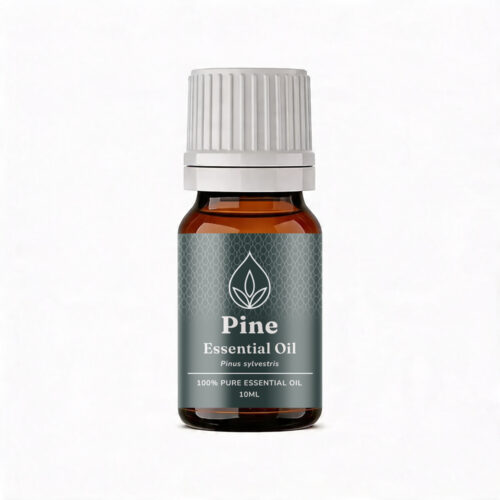 Aromatherapy For Australia: Pine Essential Oil