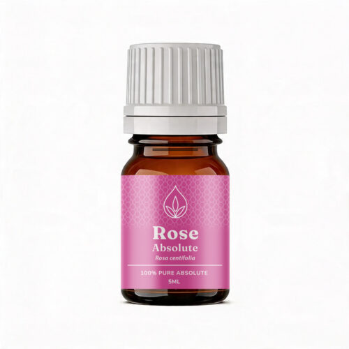 Aromatherapy For Australia: Rose Absolute