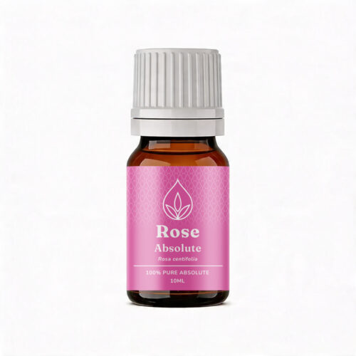Aromatherapy For Australia: Rose Absolute
