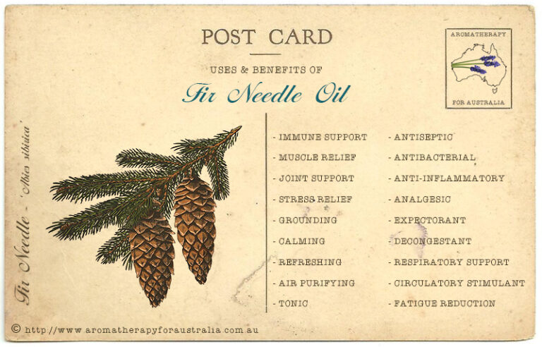 Fir Needle: Essential Oil Spotlight