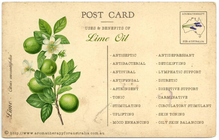 Lime: Essential Oil Spotlight