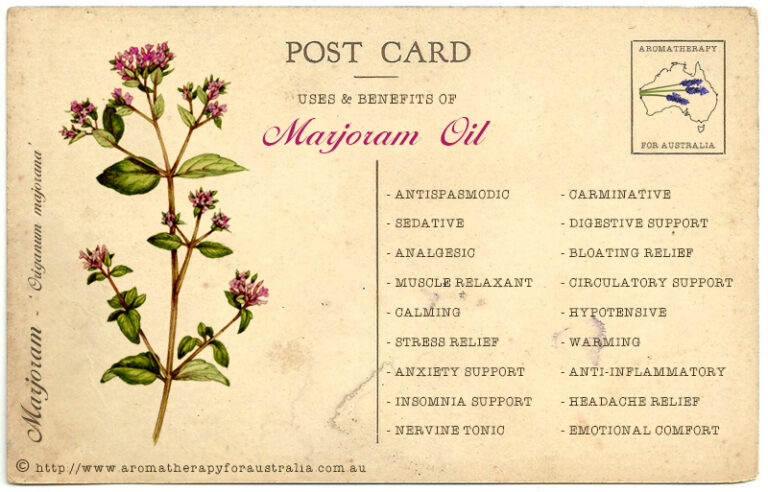 Marjoram: Essential Oil Spotlight