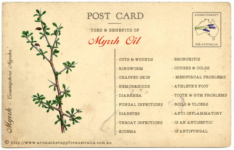 Myrrh: Essential Oil Spotlight