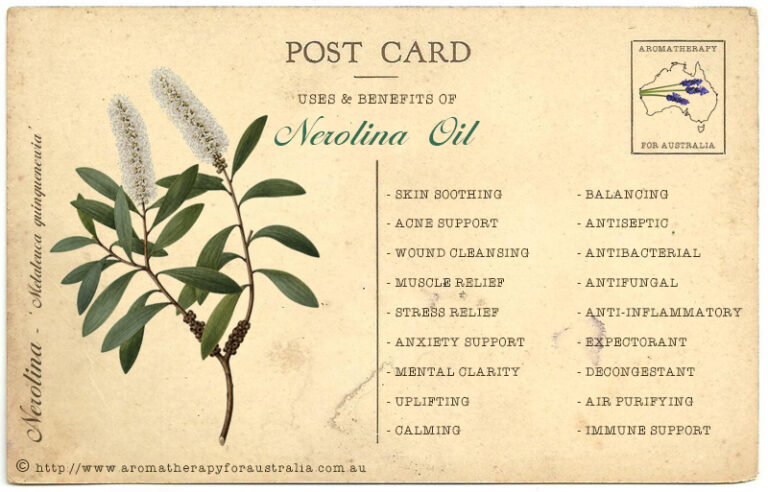 Nerolina: Essential Oil Spotlight