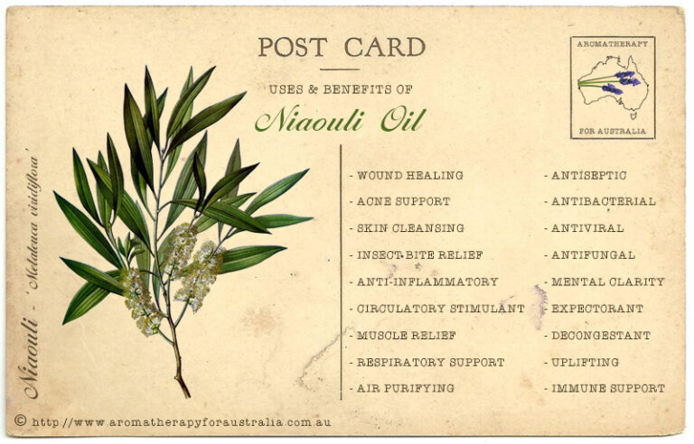 Niaouli: Essential Oil Spotlight
