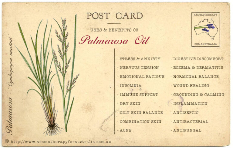 Palmarosa: Essential Oil Spotlight
