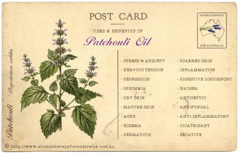 Patchouli: Essential Oil Spotlight