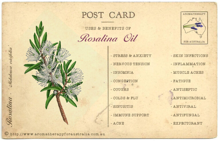 Rosalina: Essential Oil Spotlight