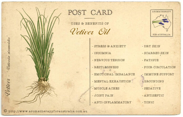 Vetiver: Essential Oil Spotlight