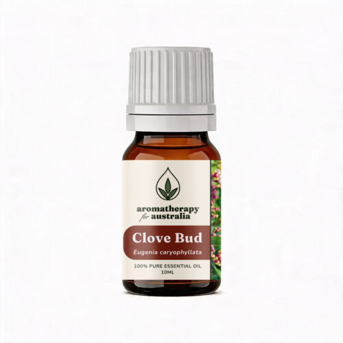 Aromatherapy For Australia: Clove Bud Essential Oil