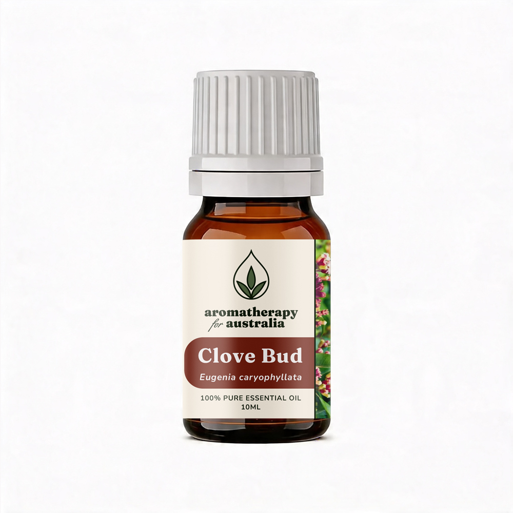Aromatherapy For Australia: Clove Bud Essential Oil