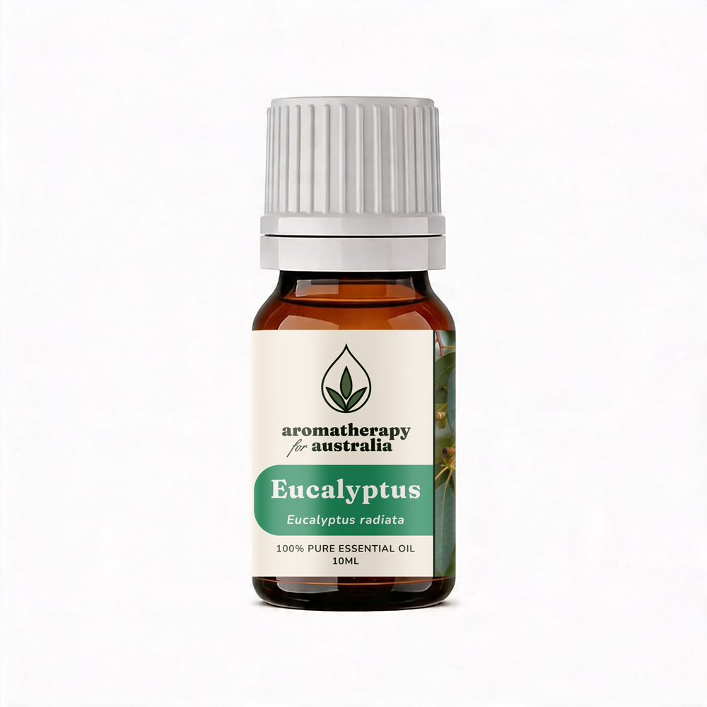 Aromatherapy For Australia: Eucalyptus Essential Oil