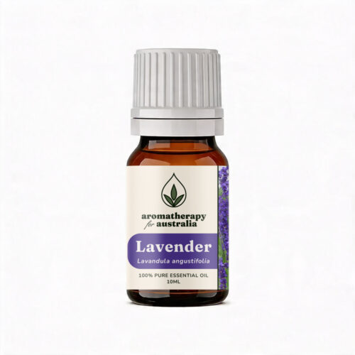 Aromatherapy For Australia: Lavender Essential Oil