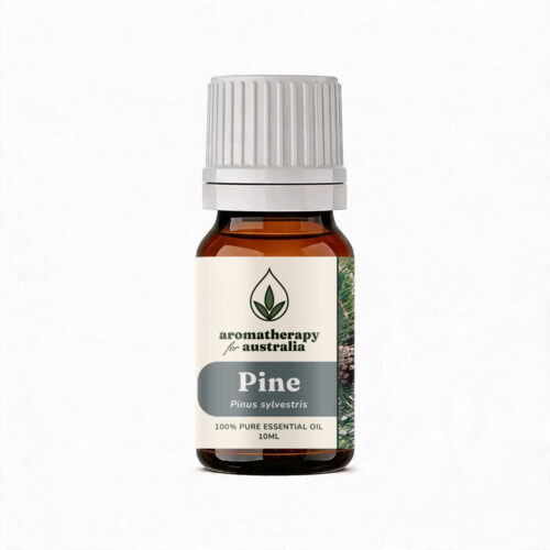 Aromatherapy For Australia: Pine Essential Oil
