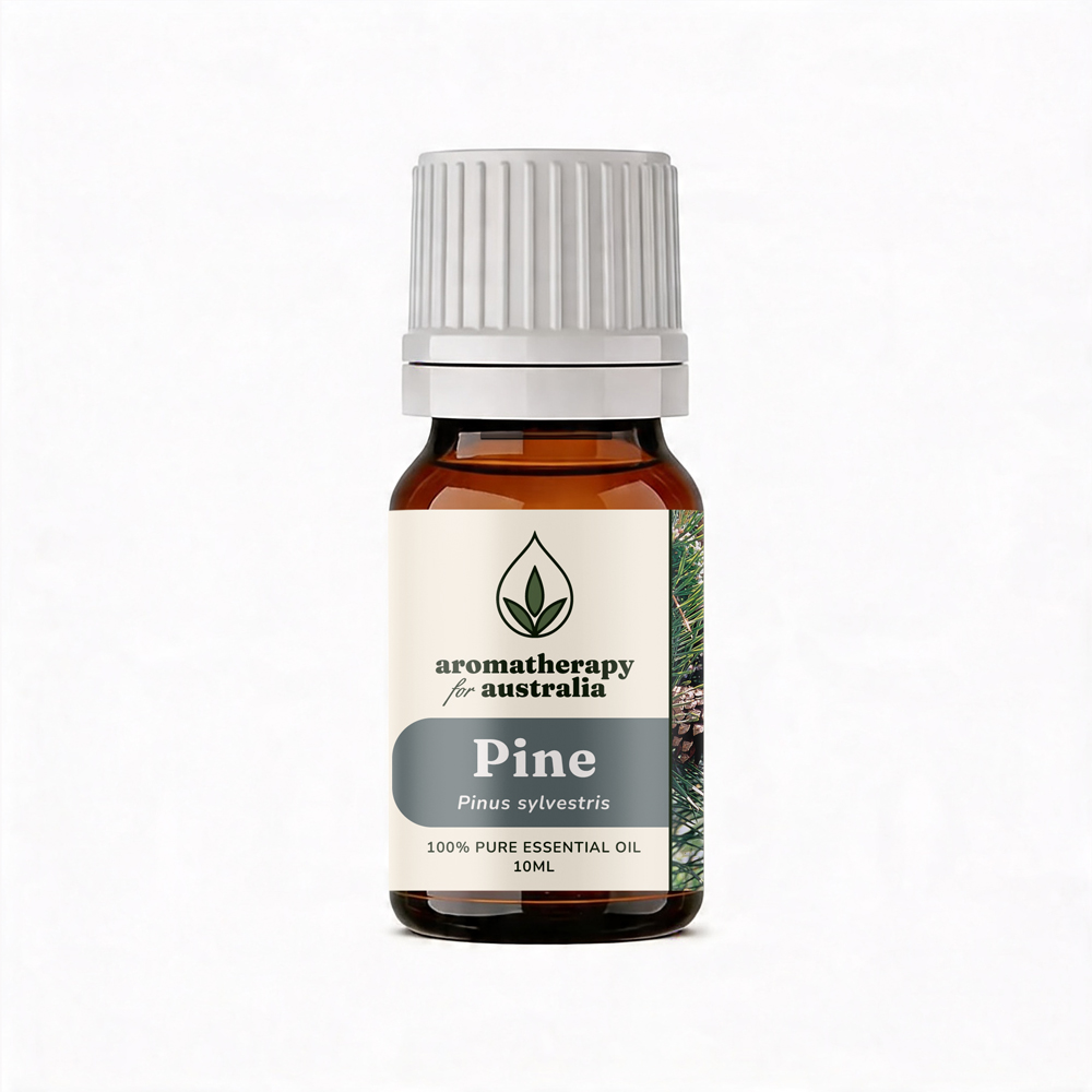 Aromatherapy For Australia: Pine Essential Oil