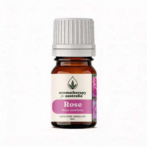 Aromatherapy For Australia: Rose Absolute
