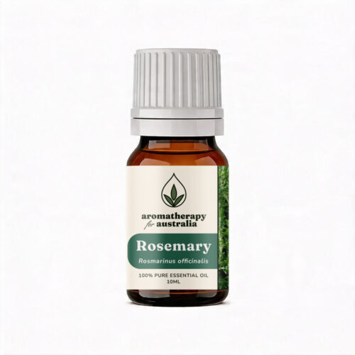 Aromatherapy For Australia: Rosemary Essential Oil