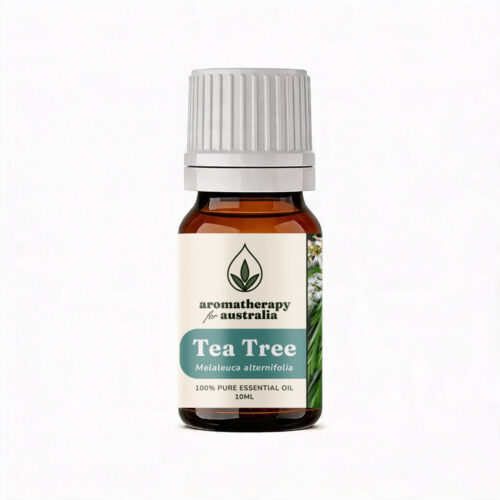 Aromatherapy For Australia: Tea Tree Essential Oil