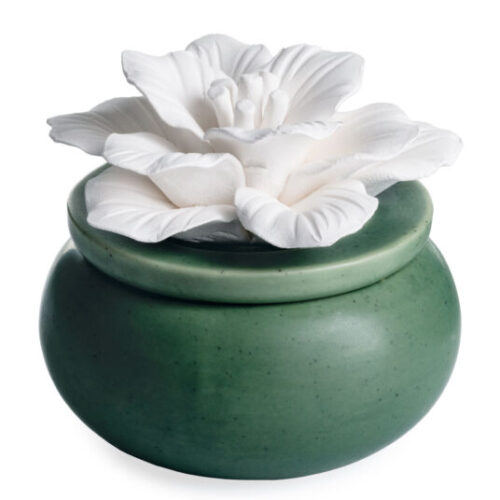 Airome: Bloom Porcelain Passive Diffuser