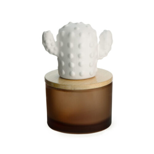 Airome: Cactus Porcelain Passive Diffuser