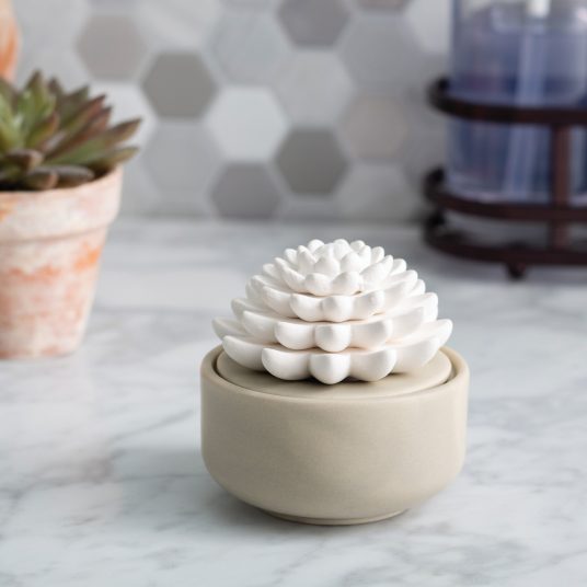 Airome: Succulent Porcelain Passive Diffuser - Image 2