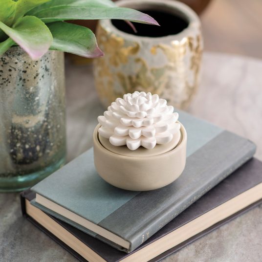 Airome: Succulent Porcelain Passive Diffuser - Image 3