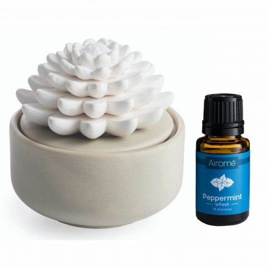Airome: Succulent Porcelain Passive Diffuser - Image 4