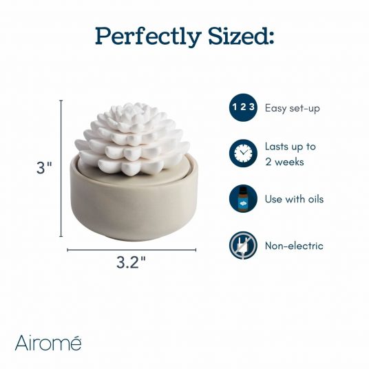 Airome: Succulent Porcelain Passive Diffuser - Image 5