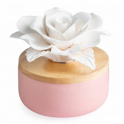 Airome: Rose Porcelain Passive Diffuser