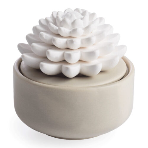 Airome: Succulent Porcelain Passive Diffuser