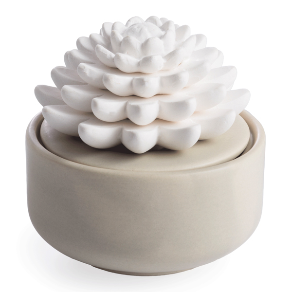 Airome: Succulent Porcelain Passive Diffuser